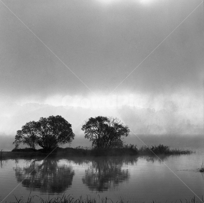 물안개,안개,물의정원,남양주,일출,아침,흑백필름,필름,자연,풍경,nature,landscape,한국자연풍경,한국자연경관,korea nature landscape,흑백,모노톤,monochrome,black and white,weather,날씨,outdoors,옥외