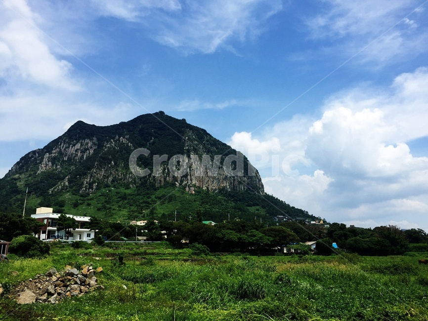 제주도,바다,해수욕장,길,풍경