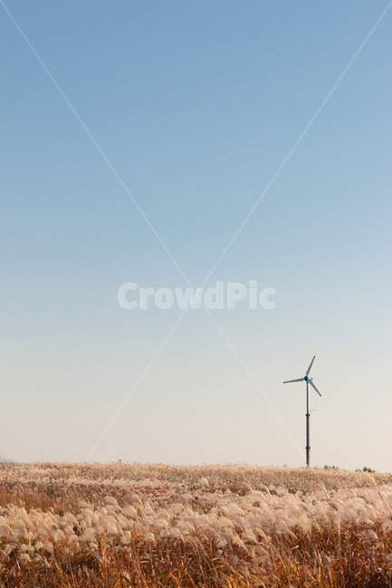 가을,억새,갈색,silvergrass,자연,공원,야외,nature,park,outdoor,에너지,energy,친환경,환경,풍력,풍력발전,풍력발전기,environment,하늘,가을하늘,파란색,blue,sky,fall,autumn,11월,november,가을,계절,fall,autumn,season,motor,모터,engine,엔진,machine,기계