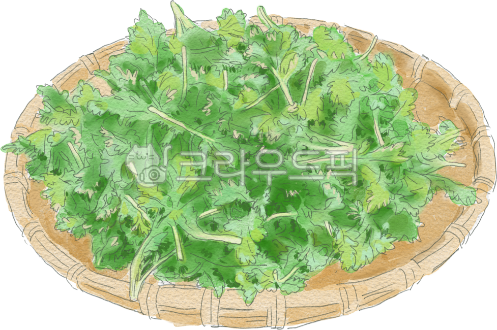 쑥,소쿠리,나물,봄나물,봄,야채,채소,초록,음식,식재료,mugwort,vegetable,spring,springvegetable,green,illustration,일러스트,손그림