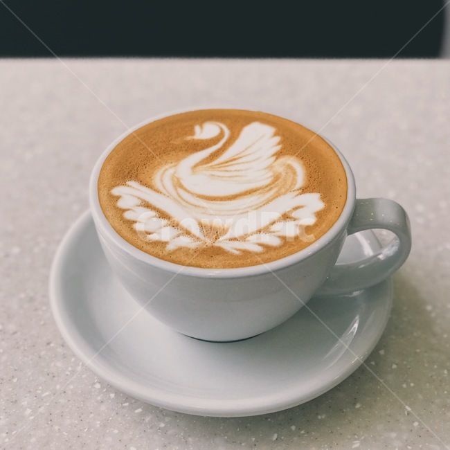 카페,커피,커피숍,coffee,latte,음료,커피전문점,음료사진,감성사진,아날로그필름,cafe,커피,카페,coffee,cafe