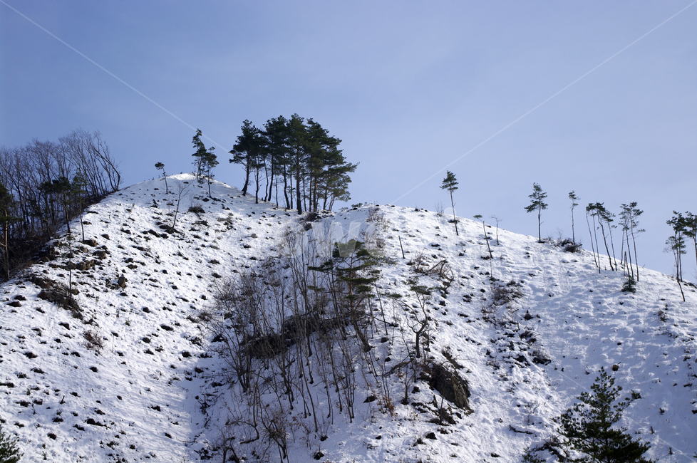 겨울,설경,풍경,산,눈,나무,겨울,계절,winter,season