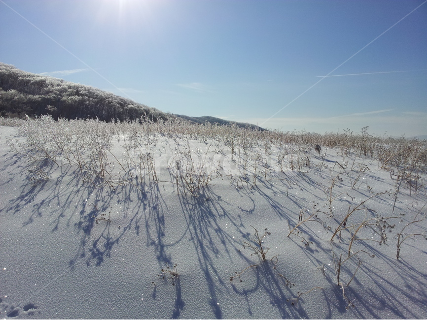오대산,상고대,설경,눈,겨울,국립공원,겨울,계절,winter,season,자연,풍경,nature,landscape,outdoors,옥외