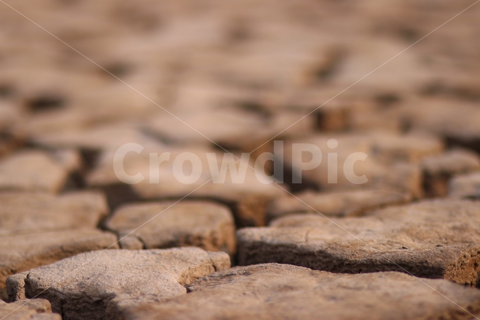운염도,가뭄,갈라진땅,흔적,간척지,흙,서해,자연,풍경,nature,landscape