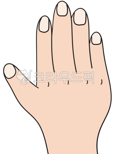 손,손등,손톱,손이미지,손일러스트,hand