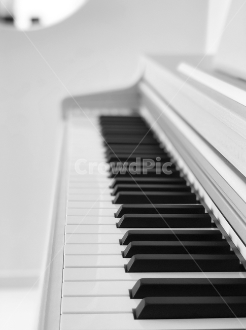 피아노,화이트,흰색,건반,악기,의자,그랜드피아노,piano,악기,음향기기,musical instrument,musical equipment