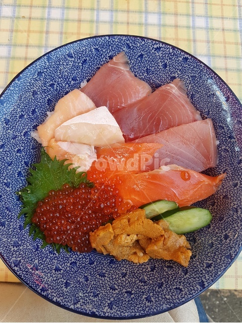 회,회덮밥,음식,수산물,식사