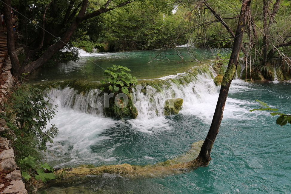 크로아티아,크로아시아,플리트비체,croatia,plitvice,plitvica,국립공원,공원,폭포,숲,요정숲,연못,강,호수,나무,여름,유럽,waterfall,pond,lake,park,tree,forest,자연,풍경,nature,landscape