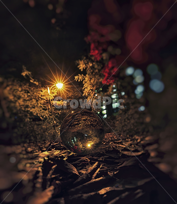 렌즈볼,lensball,낙엽,가을,light