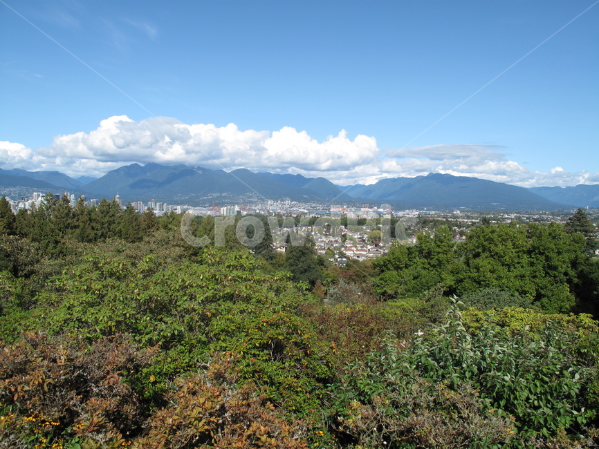 하늘,산,나무,식물,녹색,구름,공원,맑음,하늘색,길,잔디,tree,green,plant,park,canada,wood,nature,vancouver,벤치,캐나다,벤쿠버,퀸엘리자베스공원,qeenelizabethpark