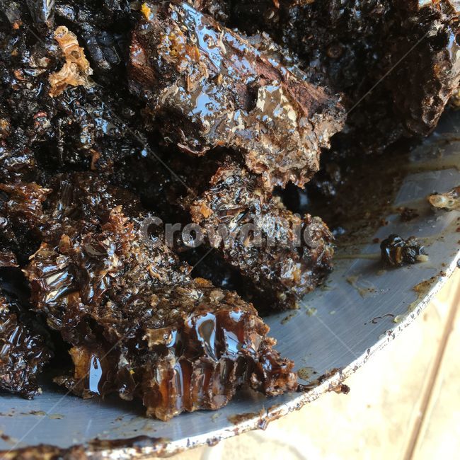 honey,채집,벌꿀,밀랍,beeswax,꿀,천연,nature,natural,collecting,picking,brown,homemade