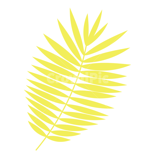 일러스트,여름,야자수,식물,자연,그래픽,일러스트레이션,nature,graphic,illsutration,summer,식물,자연,plants,nature,누끼,remove background,그래픽,일러스트레이션,graphic,illustration