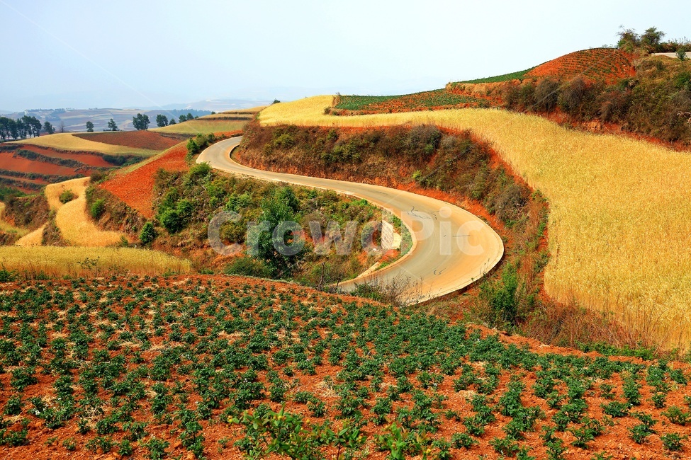 road,도로,nature,자연,outdoors,옥외,landscape,경치,plateau,고원,scenery,풍경,hill,언덕,field,들,중국,운남성,홍토지,운남홍토지,비경,패턴,자연,풍경,nature,landscape,해외,외국,세계,foreign,oversea,world,세계자연풍경,해외자연풍경,외국자연풍경,world nature landscape