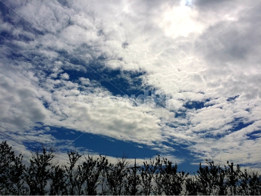 하늘,푸른,구름,느낌,태양,자연,풍경,nature,landscape,outdoors,옥외,weather,날씨,tree,나무,plant,식물,cloud,cumulus,적운,sky