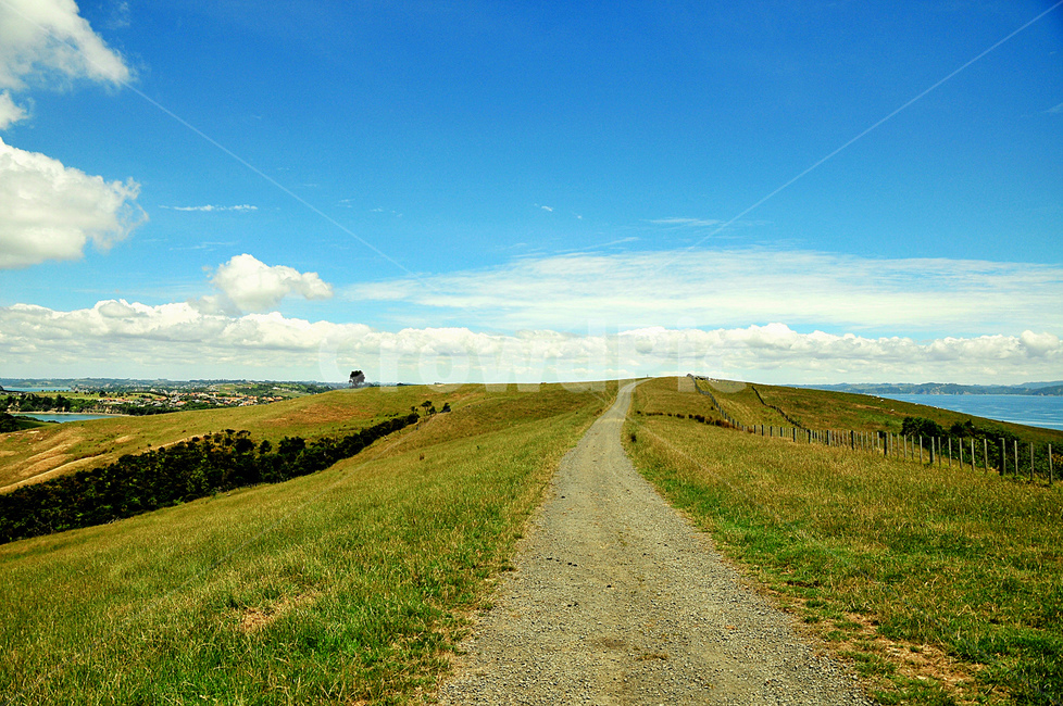풀밭,목장,초목,목초지,대초원,길,들판,자연,도로