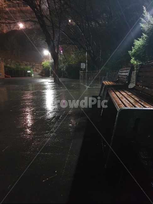 비오는날,벤치,공원,어두운,비오는저녁Emotional,rainyday,rainy,benches,parks,darkclouds,rainyparksandrain