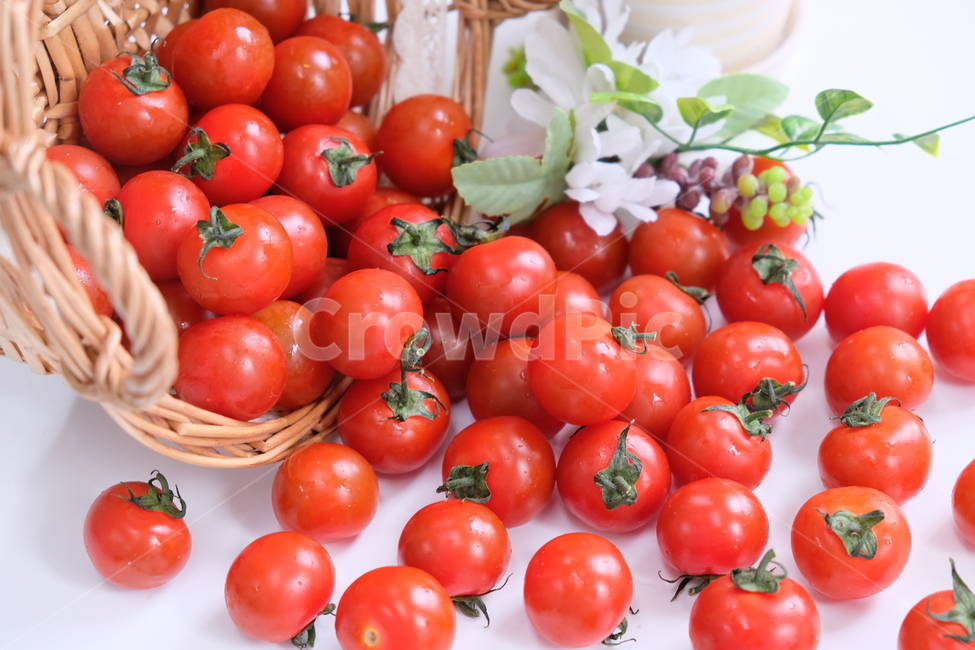 토마토,방울토마토,과일,야채,식품,신선,음식,tomato,droptomato,fruit,vegetables,fresh,food,음식,식재료,요리,food,cook,meal,dishes,food reserves,과일,열매,fruit,채소,야채,vegetables