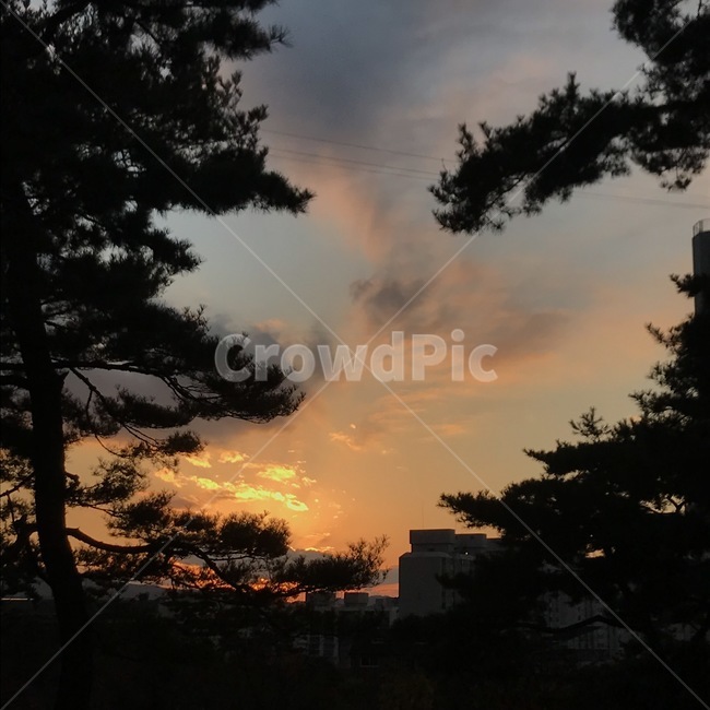 천변,하늘,구름,하루,우울,피곤,자연,풍경,nature,landscape,outdoors,옥외,dawn,새벽,red sky,붉은 하늘,sunset,일몰,sky,dusk,황혼