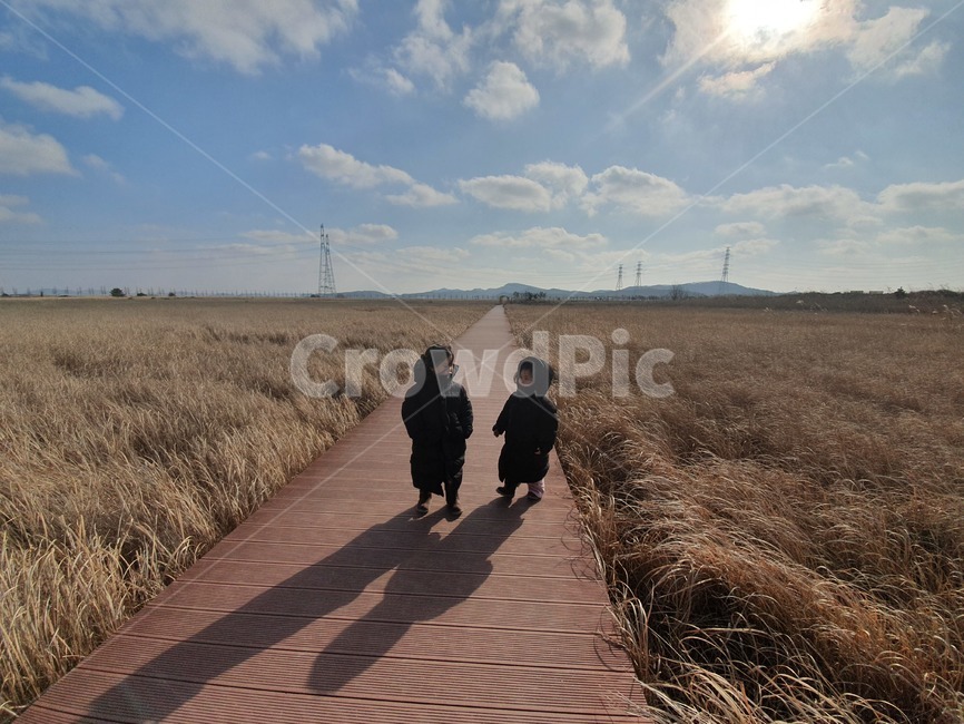 산책,하늘,공원,갈대밭,갈대