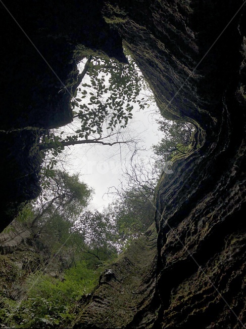 관광,중국,산,나무,절벽,cave,동굴,nature,자연,충칭,중경,오르도비스기,자연,풍경,nature,landscape,cove,후미,sea,바다,shoreline,해안선,coast,연안,outdoors,옥외,ocean,대양,water,물