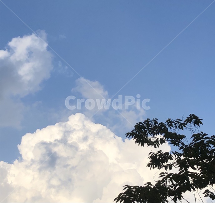 nature,자연,구름,하늘,sky,cumulus,weather,cloud,감성,나무