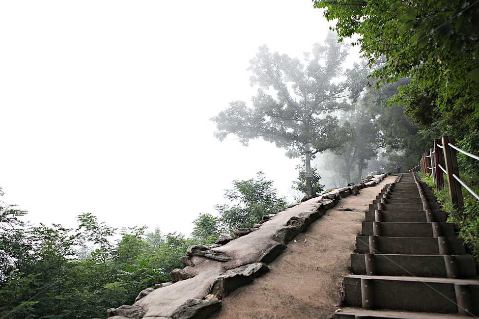 공주산성,산성,성,성곽,길,둘레길,숲,숲길,안개,돌담,여름,풍경,벽,방어벽,흙담,나무,식물,유네스코