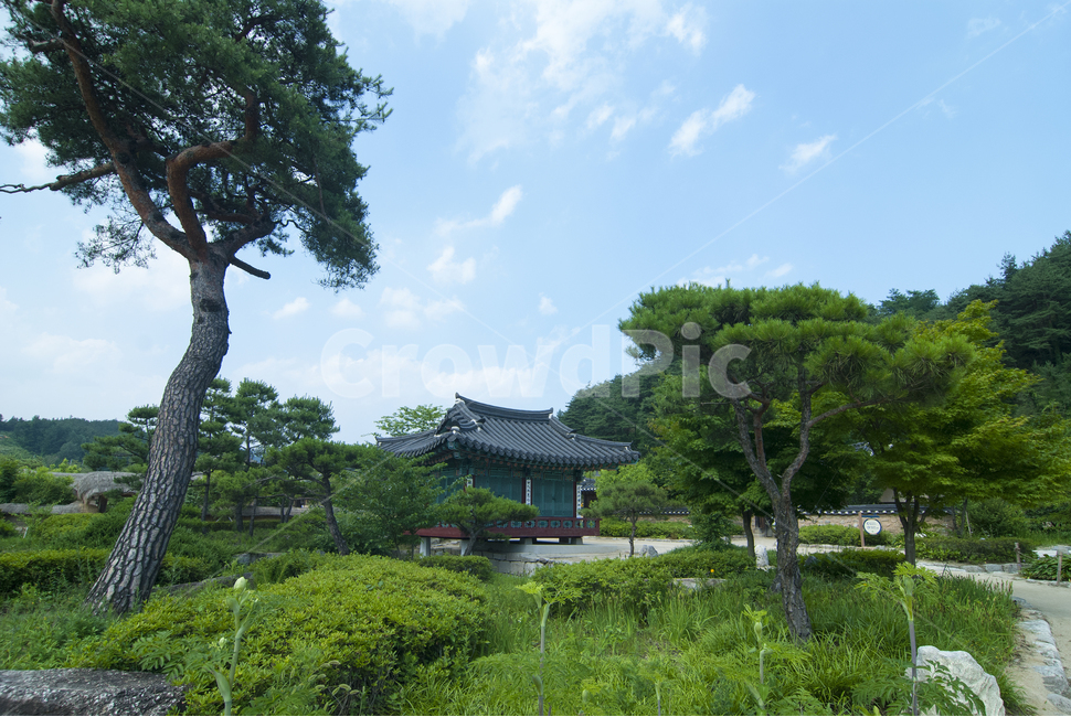 영주,선비촌,옛날건물,나무집,고택,전통집,여름,하늘,자연,나무,자연,풍경,nature,landscape,한국자연풍경,한국자연경관,korea nature landscape,architecture,건축물,building,건물,temple,신전