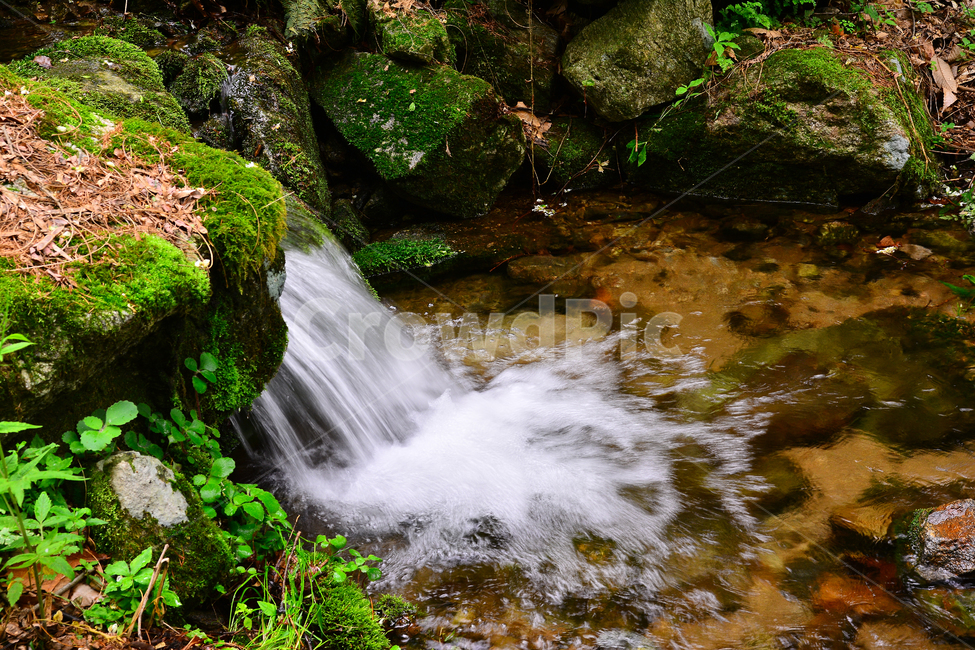 폭포,계곡,힐링,물,명산,시원함,cool,valley,healing,water,summer,휴식,쉼,맑은,흐르다,flow,mountain,waterfall,landscape,nature,자연풍경,자연,풍경,계절,시즌,rest,한국자연풍경,여름,이끼,자연,풍경,nature,landscape,한국자연풍경,한국자연경관,korea nature landscape,outdoors,옥외,river,강
