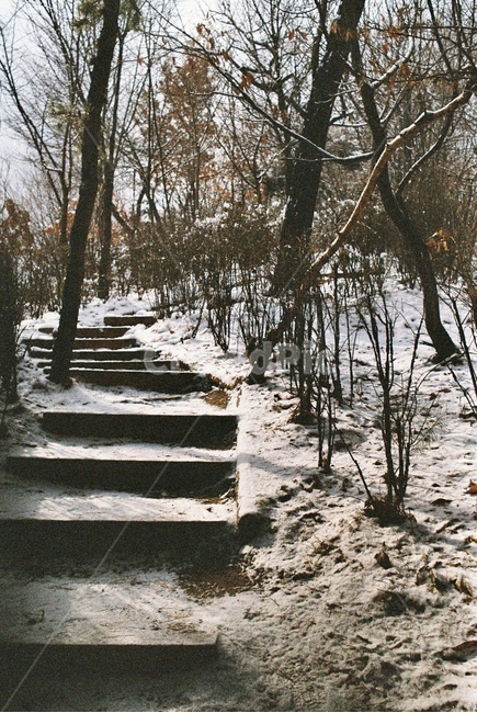 눈,겨울,오르막길,나무,자연,숲,산,산길,등산,등산로,통로,snow,snowy,winter,ascent,uphill,tree,nature,forest,mountain,hiking