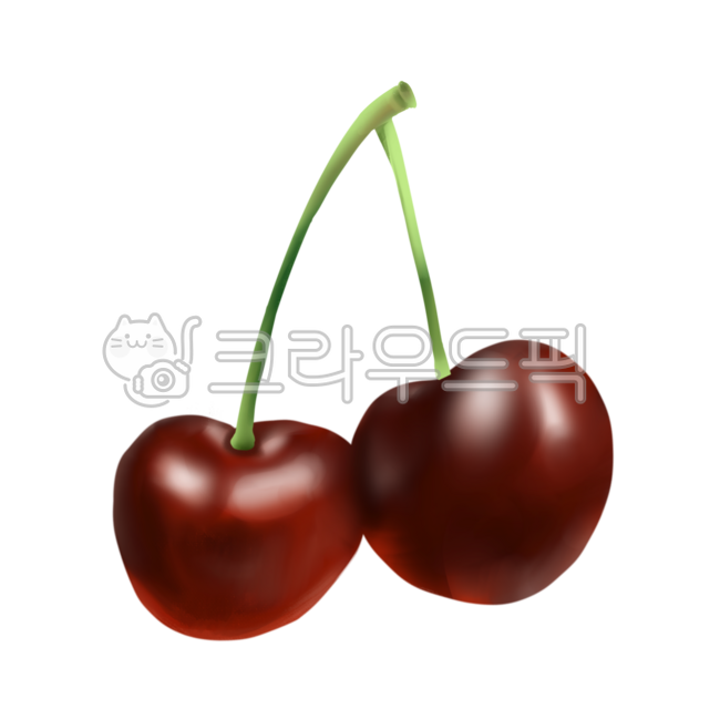 Cherry,cherry,fruit,seasonal fruit,fruit drawing