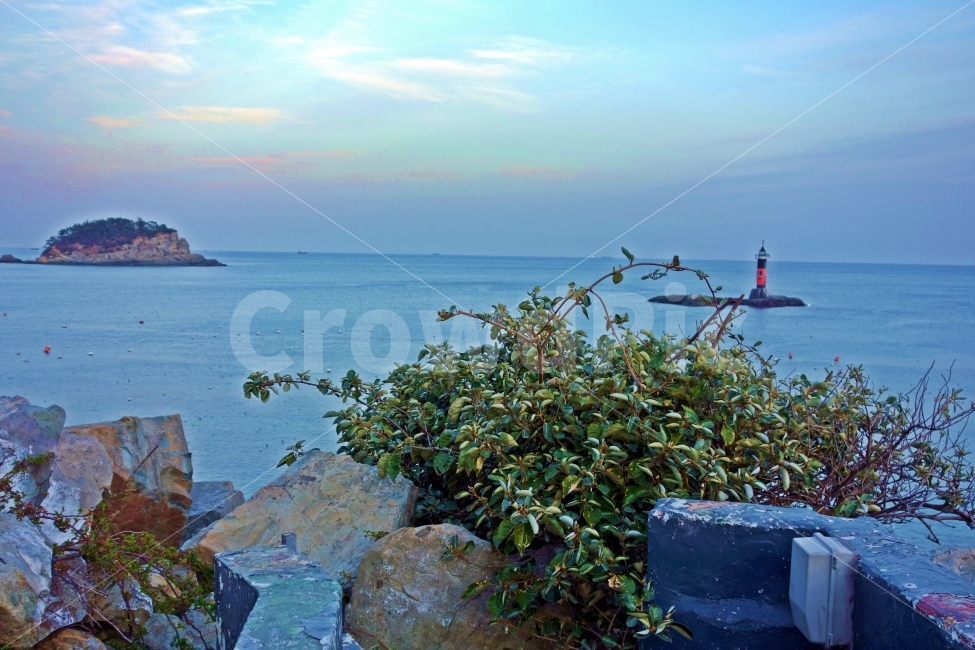 부산,다대포,몰운대,등대,섬,바다,돌,수평선,노을,흰,구름,하늘,푸른,풀,여행,자연,부산여행,풍경,경치,아름다운,전망,바닷가,망망대해,그림,같은,뷰,자연,풍경,nature,landscape,등대,lighthouse,outdoors,옥외,land,땅