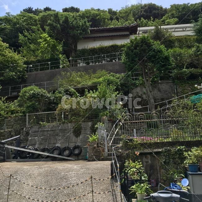 주택,일본,풍경,자연,고요