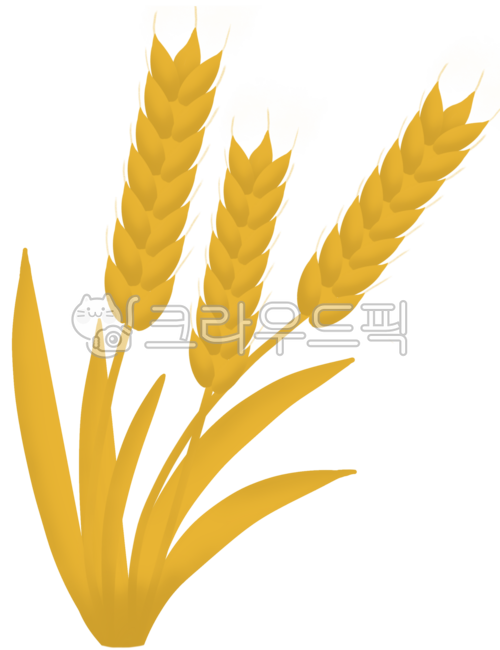 보리,보리일러스트,보리스티커,청보리,청보리일러스,청보리스티커,보리밥,보리빵