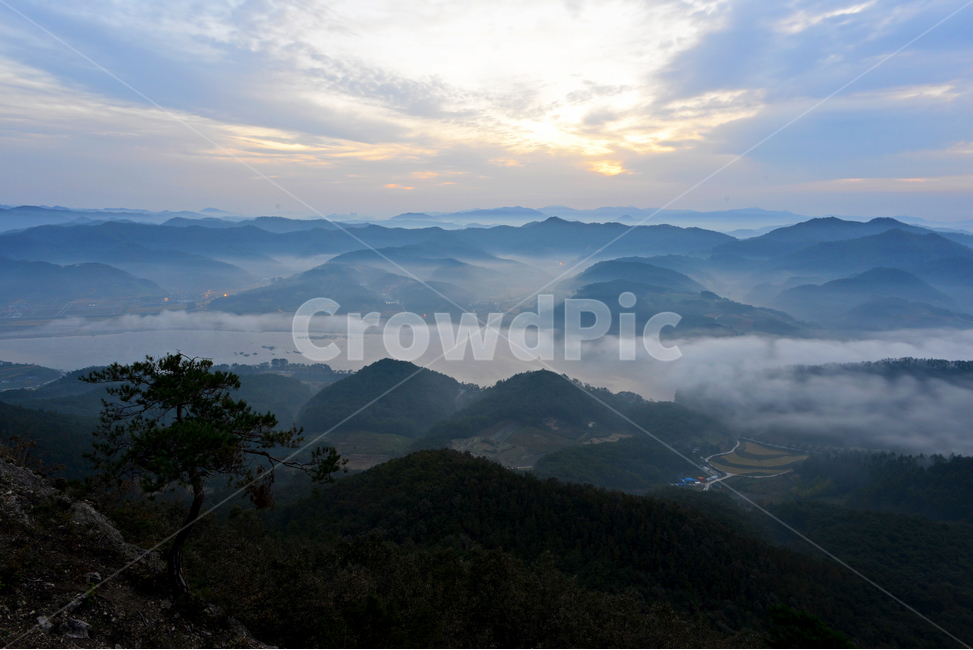 임실,국사봉,국사봉일출,여명,아침,해돋이,운해,소나무,nature,자연,mountain,산,mountainrange,산맥,outdoors,옥외,자연,풍경,nature,landscape