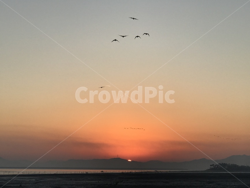 nature,새벽,redsky,자연,outdoors,옥외,dawn,황혼,dusk,붉은하늘,하늘,sky,일몰,sunset,새,철새,새떼
