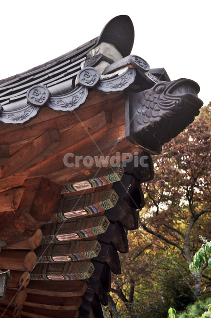 청계사,사찰,불교사찰,의왕시,지붕,흑백,망와,기와,한옥,한국전통,한국문화,korean traditional,korean culture,건축물,건물외관,exterior,building,structure,architecture,construction