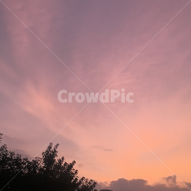 하늘,구름,자연,경치,감성,sky,투명한,맑은,자연,풍경,nature,landscape,outdoors,옥외,dawn,새벽,red sky,붉은 하늘,sunset,일몰,dusk,황혼