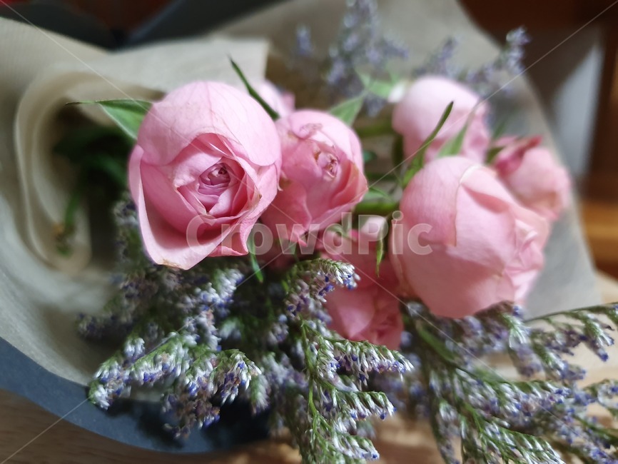 꽃,꽃다발,핑크색,장미,flower,rose,blossom