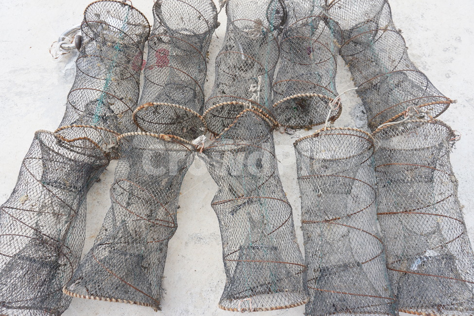 바다,낚시,낚시도구,바닷가,바다낚시,산업,industry,industrial,어업,fishery,fishing industry