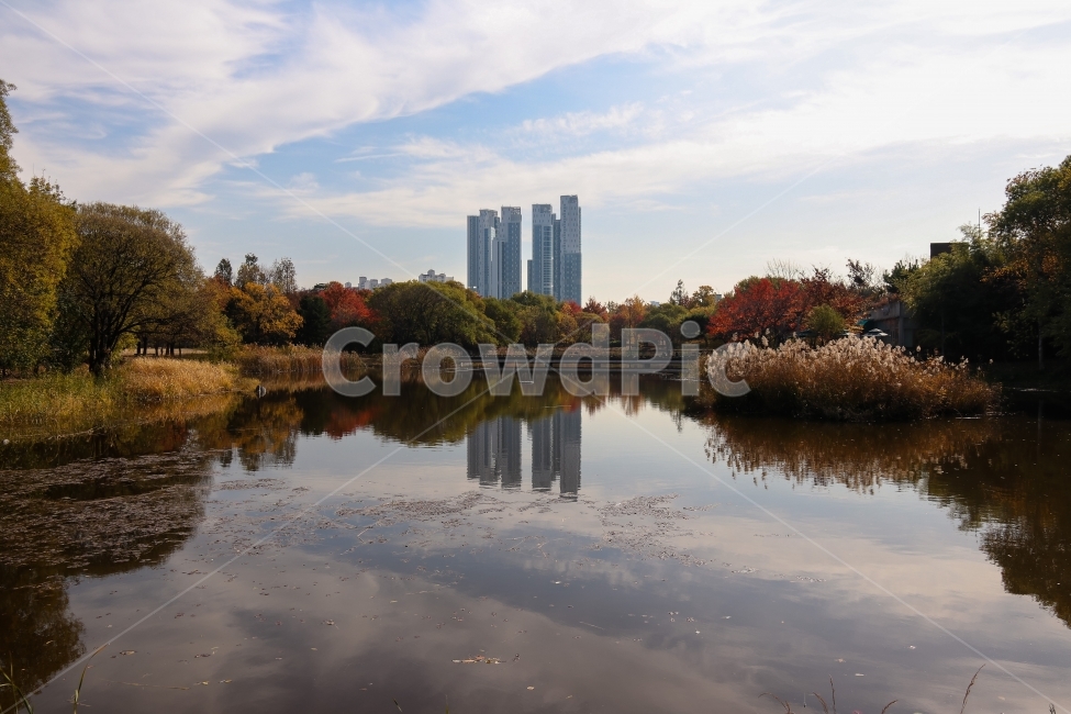 서울숲,가을,반영,풍경,가을하늘,가을,계절,fall,autumn,season,도시,풍경,city,landscape,한국도시풍경,한국도시경관,korea cityscape,nature,자연,water,물,outdoors,옥외