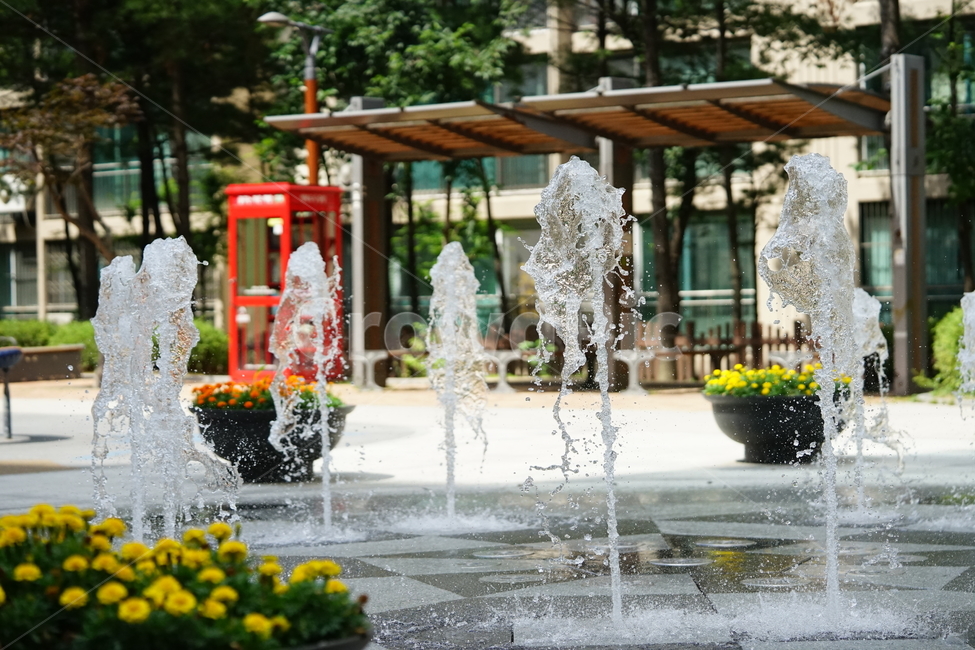 분수,물,물줄기,여름,계절,water,순간,순간포착,더위,summer,여름,계절,summer,season