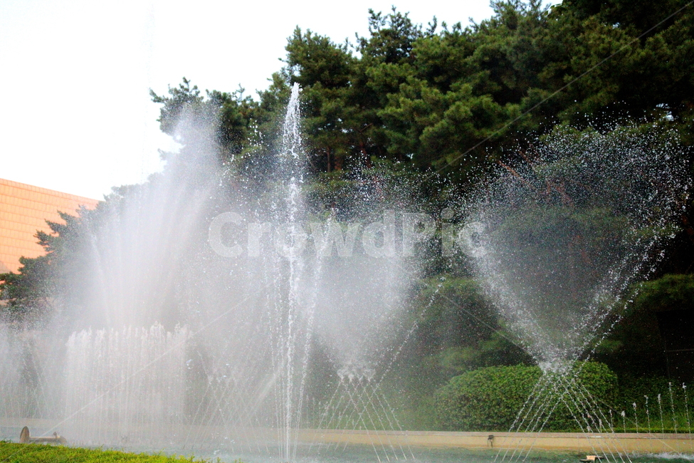 분수,분수대,물,공원,예술의전당,나무,소나무,자연,풍경,nature,landscape,water,fountain