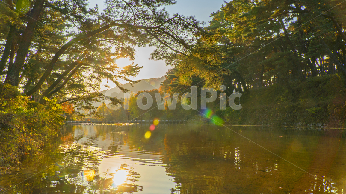 개천,물,자연,나무,노을,반영샷,water,nature,outdoors,옥외