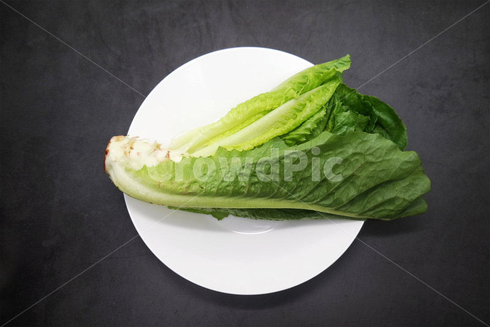 채소,야채,상추,로메인,샐러드,녹색,건강,채식주의자,채식,vegetable,lettuce,건강,헬스웨어,헬스케어,healthware,health care,채소,야채,vegetables