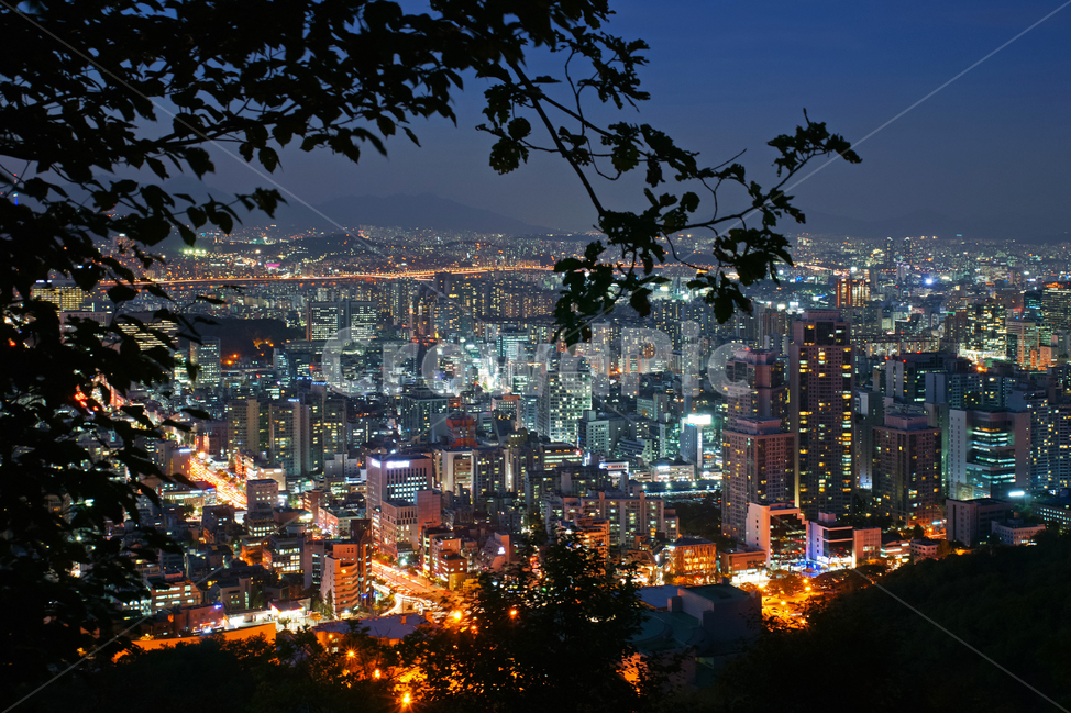 서울도심,서초구,우면산,서울,도심,야경,불빛,조명,야경,밤,풍경,nightscape,night,landscape,도시,city,한국도시풍경,한국도시경관,korea cityscape