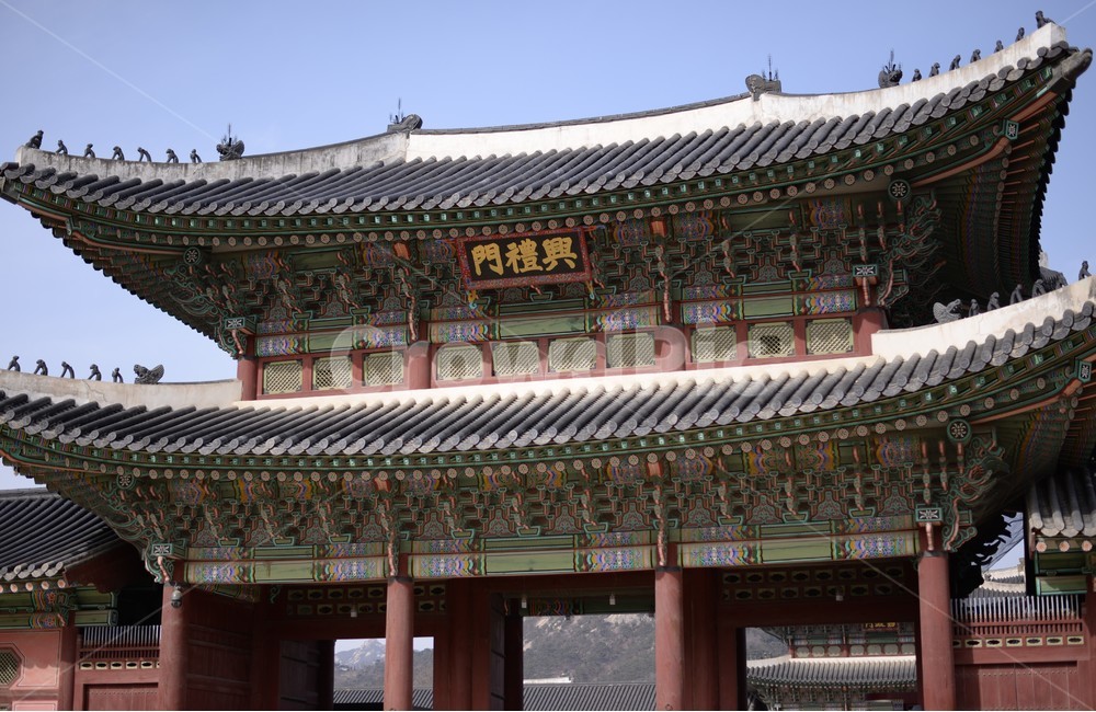 대한민국,경복궁,근정문,korea,Gyeongbokgung,geunjeongmun,한국전통,한국문화,korean traditional,korean culture,랜드마크,landmark,tourist attraction,한국랜드마크,한국관광지,한국명소,korea landmark,korea tourist attraction,건축물,건물외관,exterior,building,structure,architecture,construction