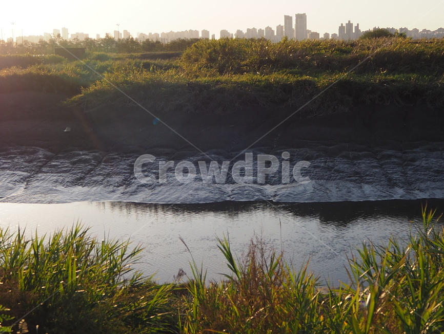 갈대강,풀,물,자연,water,land,땅,생태공원,자연,풍경,nature,landscape,outdoors,옥외