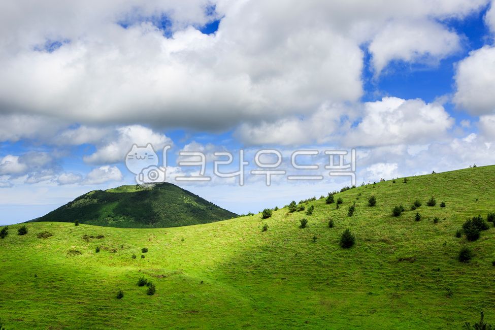 제주,제주도,오름,용눈이오름,자연,바람,구름,nature,hill,언덕,outdoors,jeju