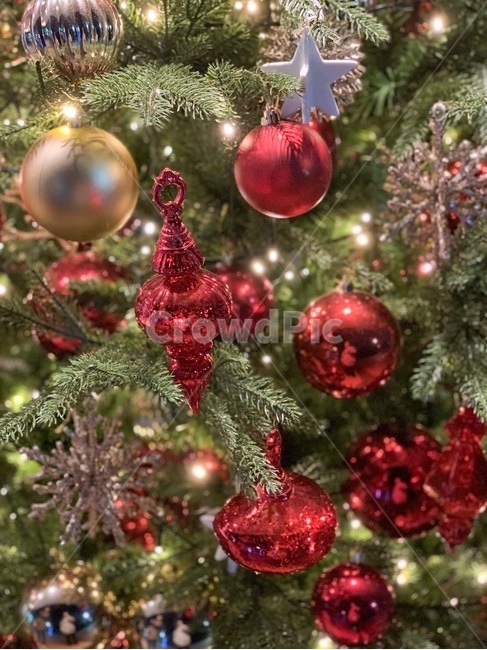 christmastree,크리스마스트리,나무,ornament,장식,tree,plant,크리스마스,트리,식물,메리크리스마스,성탄절,merry christmas
