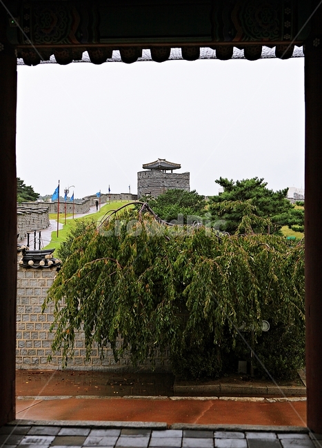 수원화성,성,성곽,길,둘레길,돌담,담,가을,자연,풍경,벽,방어벽,전통,식물,한국전통,한국문화,korean traditional,korean culture